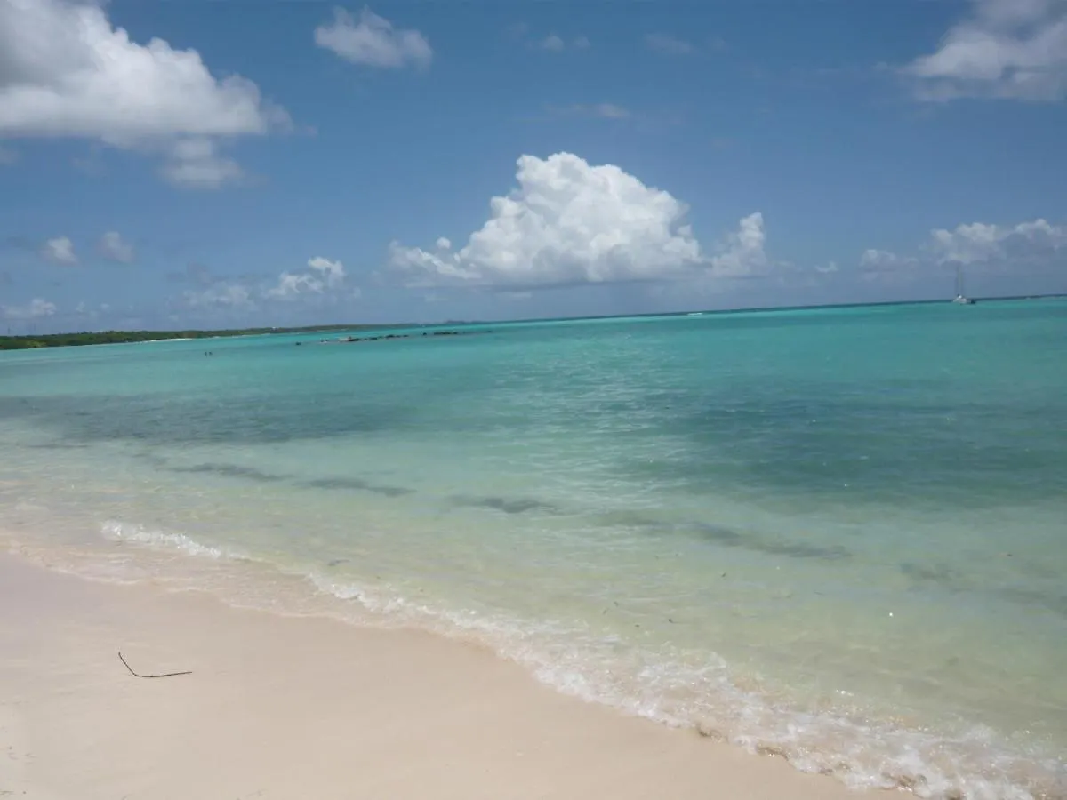 Appartement- Marina -St Francois Saint-Francois  Saint-Francois (Grande-Terre)